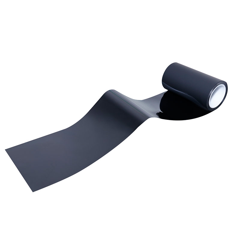 ��������Ĥ