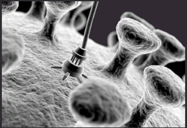 ʯīϩ��ҽ����ҵ�Ľ������